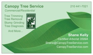 Canopy Tree Service Business Card