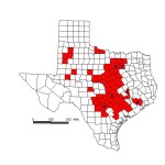 Texas Oak Wilt Map